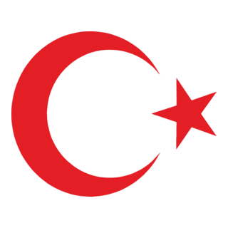 Ayyıldız Bayrak Logo PNG Vector