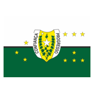 Brasil Novo Bandeira Logo PNG Vector