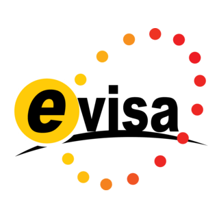 e visa Logo PNG Vector