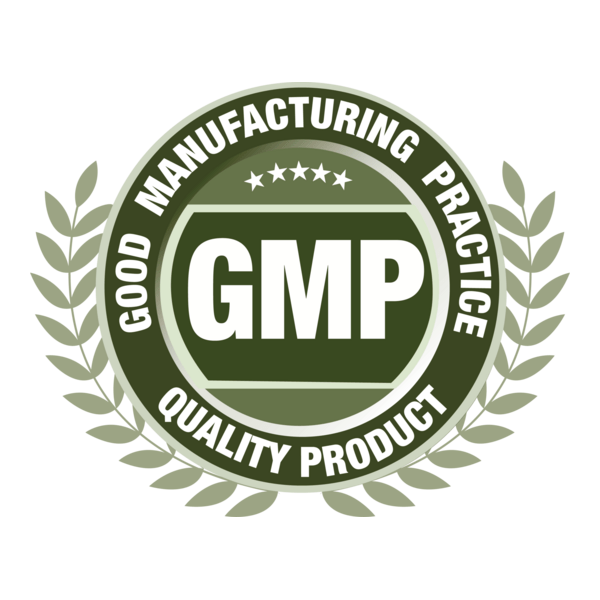 GMP GOOD MANUFACTURING PRACTICE Logo PNG Vector