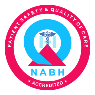NABH Logo PNG Vector