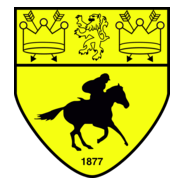 Newmarket Town FC Logo PNG Vector
