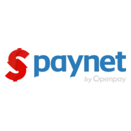 Paynet Logo PNG Vector