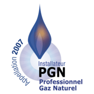 PGN - Professionnel Gaz Naturel Logo PNG Vector