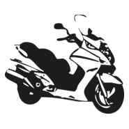 Silver Wing Logo PNG Vector