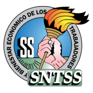 sntss imss Logo PNG Vector