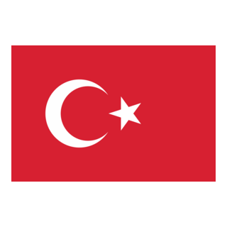Türk bayrağı Logo PNG Vector