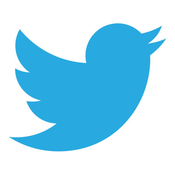 Twitter 2012 Positive Logo PNG Vector