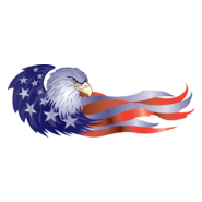 USA Flag Logo PNG Vector
