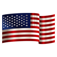 USA Flag Logo PNG Vector