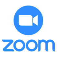 Zoom fondo blanco vertical Logo PNG Vector
